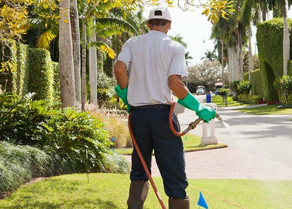 About Colorado Springs CO Pest Control